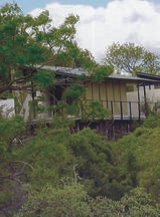 B43